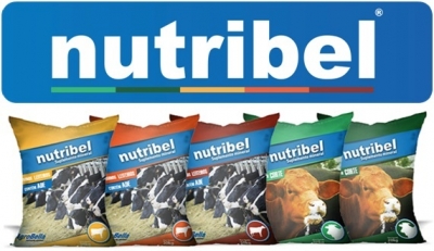 Campanha NUTRIBEL supera todas as expectativas e é um SUCESSO!