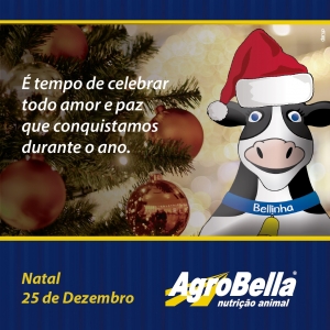 Feliz Natal!