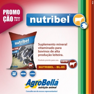 MÊS PROMOÇÃO NUTRIBEL