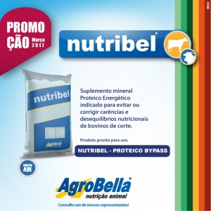 MÊS PROMOÇÃO NUTRIBEL