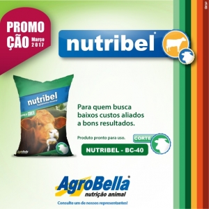 MÊS PROMOÇÃO NUTRIBEL 