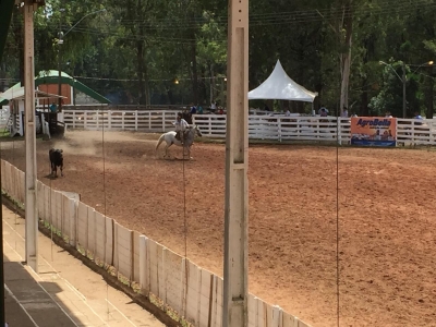 Acontece o XI Rodeio Internacional de Soledade!!