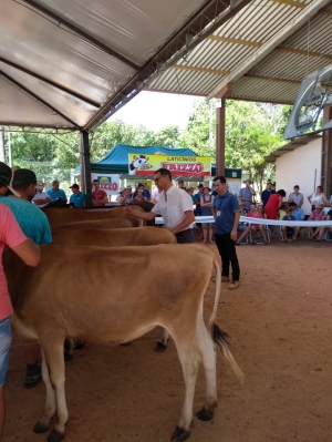 AgroBella presente , juntamente com a Agrotec, na IV feira da terneira e V Mostra da Agricultura Familiar